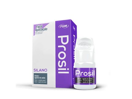 fgm-prosil-(Silane) (1)