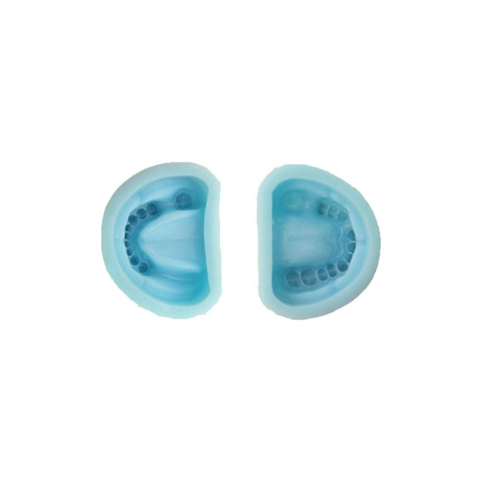 silicone-mould