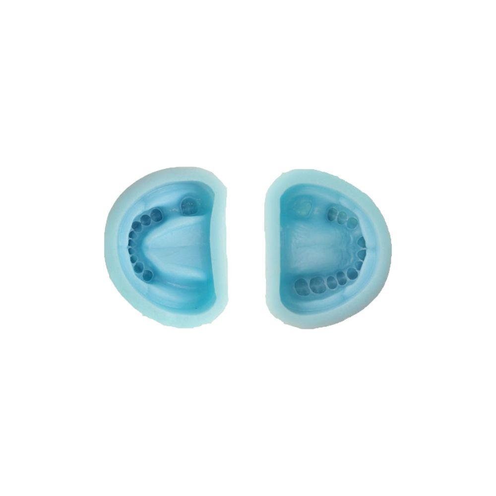 silicone-mould silicone-mould