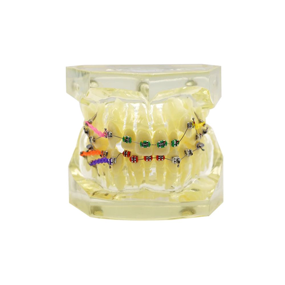 study-model-wire-chain (2) study-model-wire-chain (2)