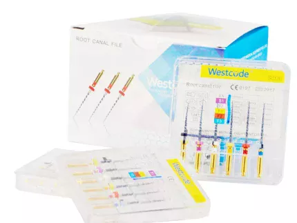 West code Dental Lab Root Canal File