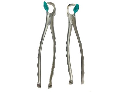 Forcep Kit Physics(1×2)