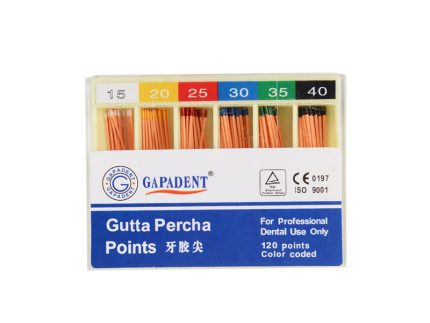GAPADENT GP Point 2 Taper