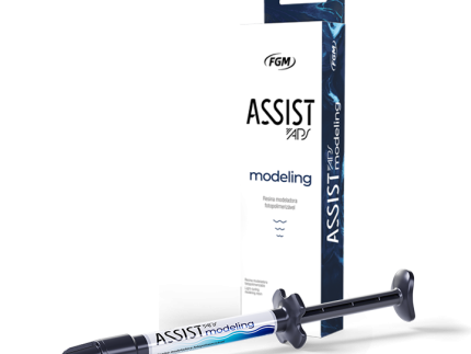 FGM Assist Modeling APS