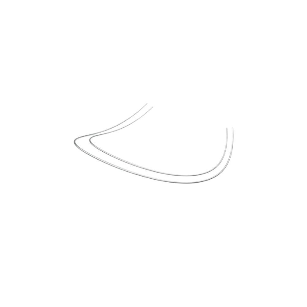 reverse-curve-of-spee-archwire reverse-curve-of-spee-archwire