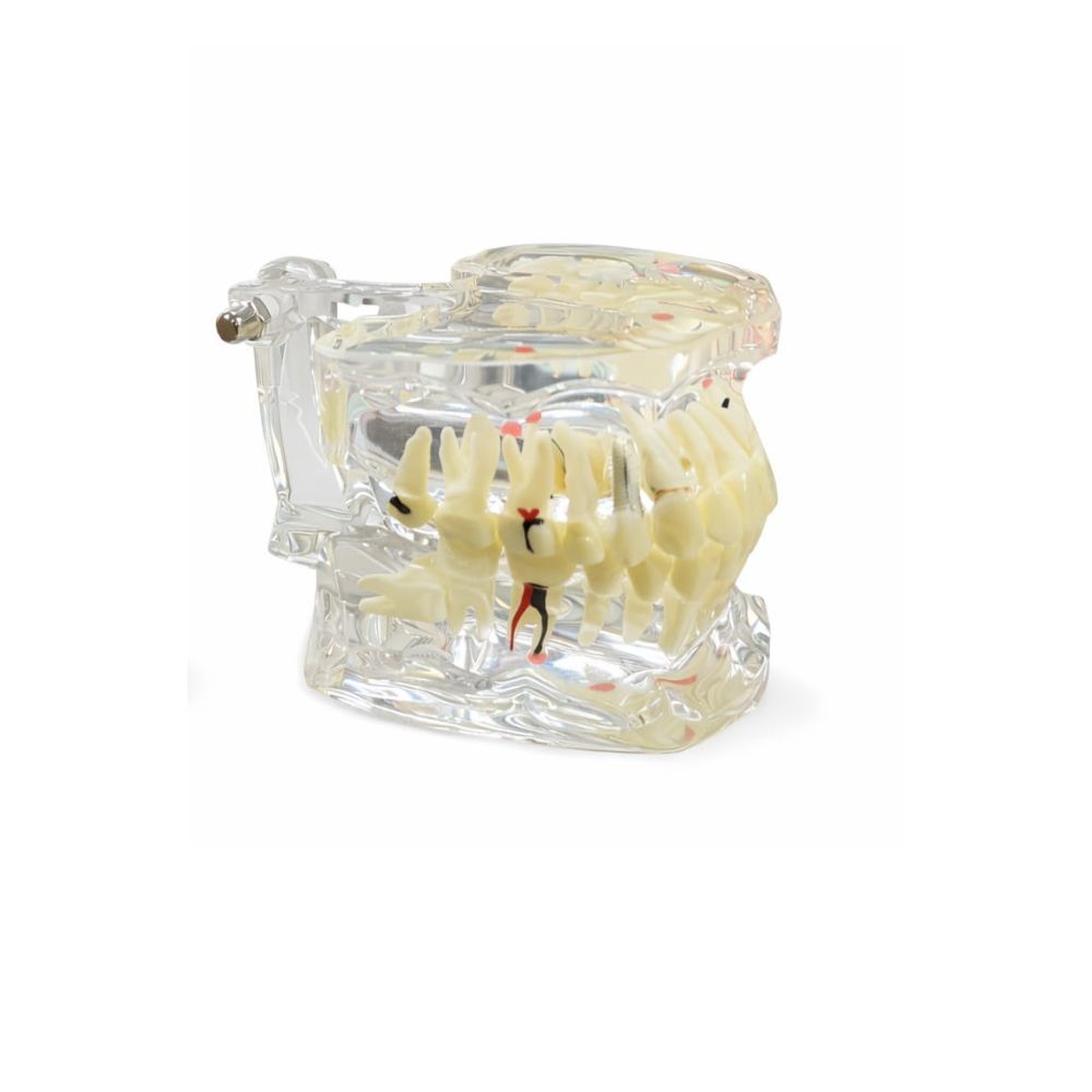 crystal-study-model (2)