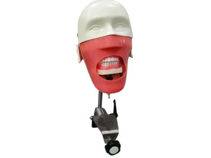 dental-simulator-phantom-head-training (3)
